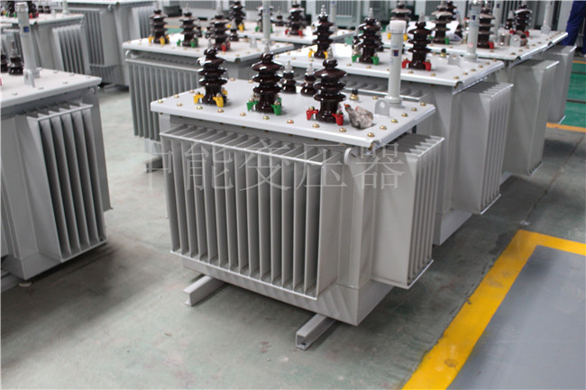 萍乡S22-100KVA/10KV/0.4KV变压器